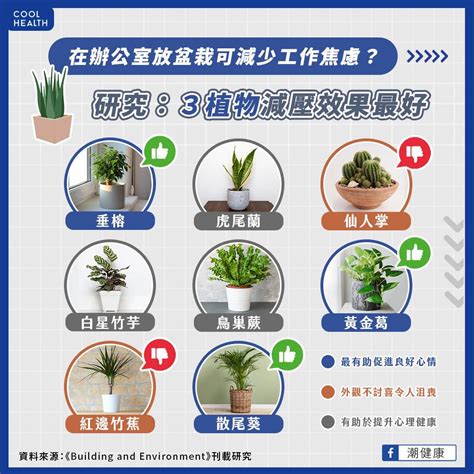 辦公室種植物